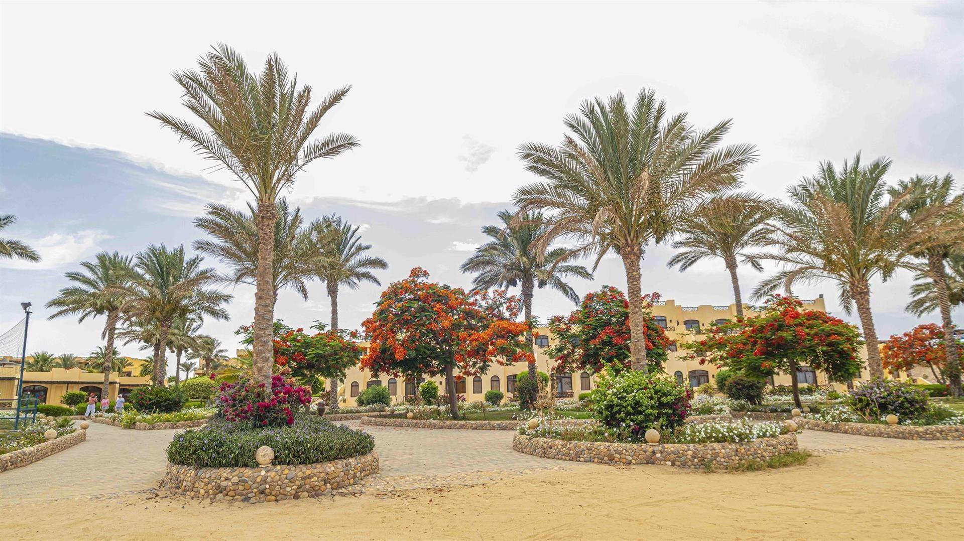 Blend Elphistone Resort (Ex. Elphistone Resort Marsa Alam) — 4