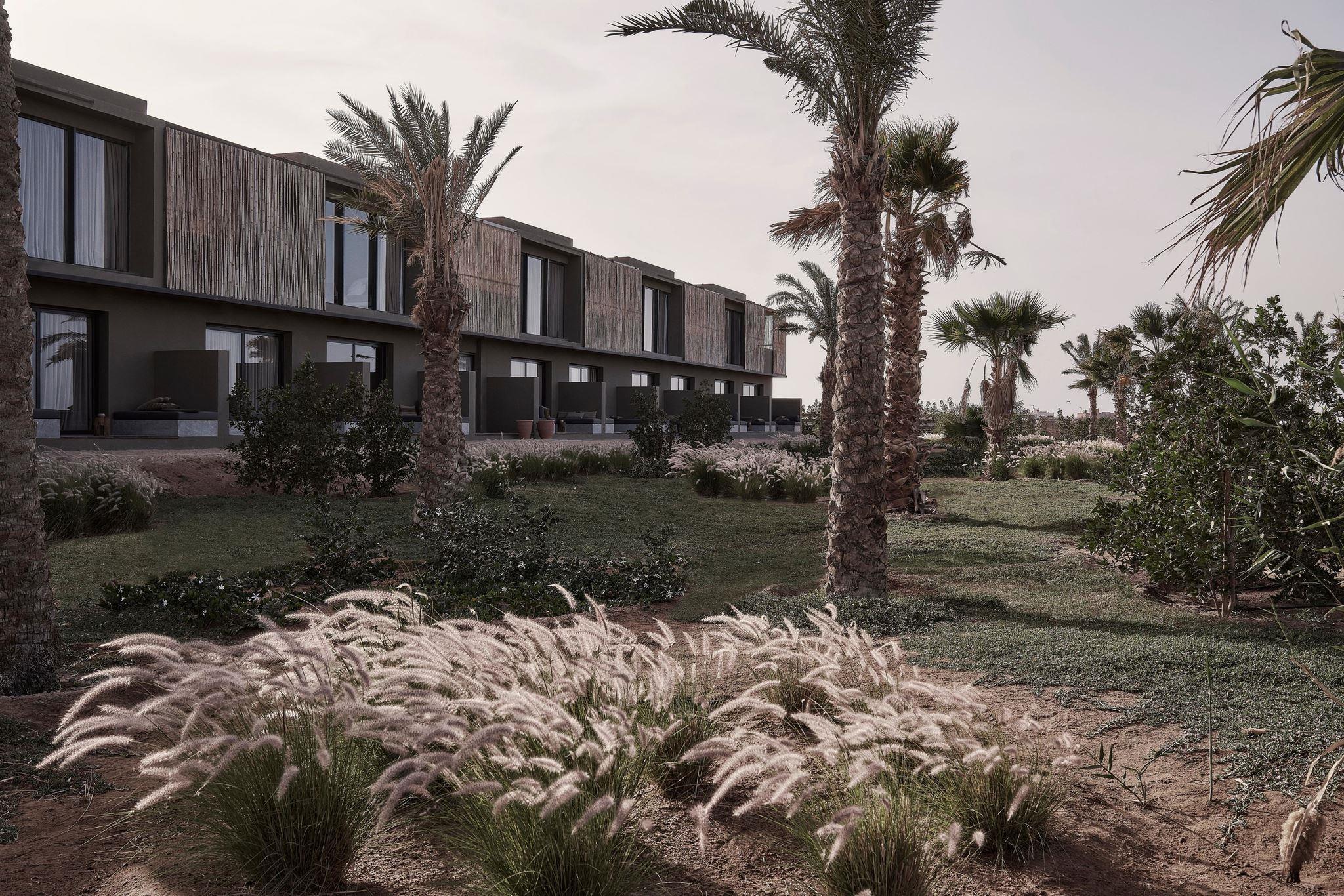 Casa Cook (+16 Adult Only) — 3