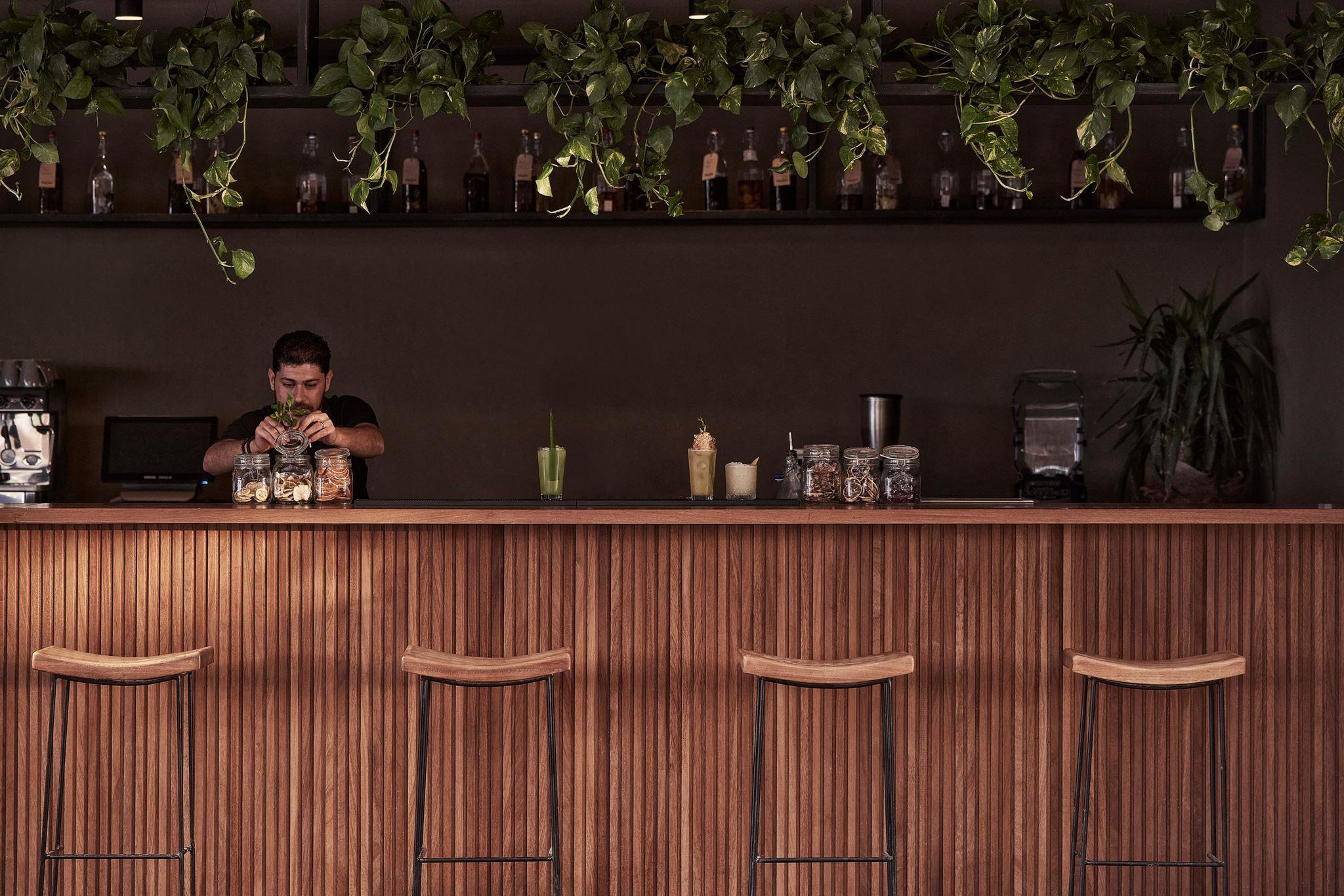 Casa Cook (+16 Adult Only) — 9