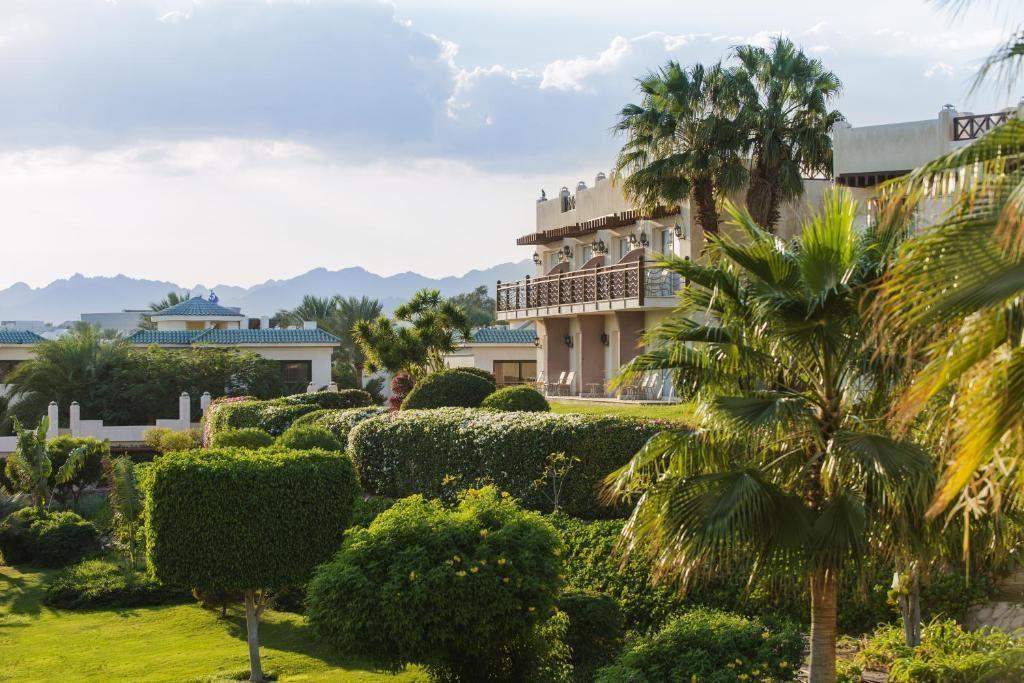 Concorde El Salam Front Area — 7