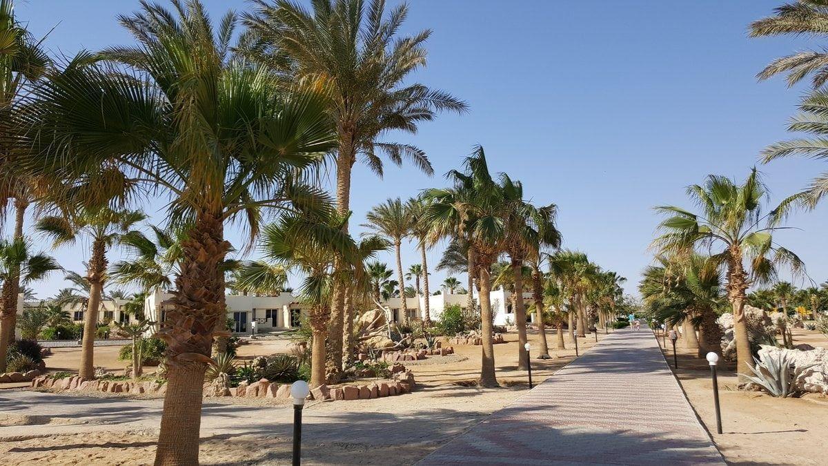 Coral Beach Resort Hurghada — 6