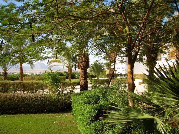 Eden Rock Hotel — 8