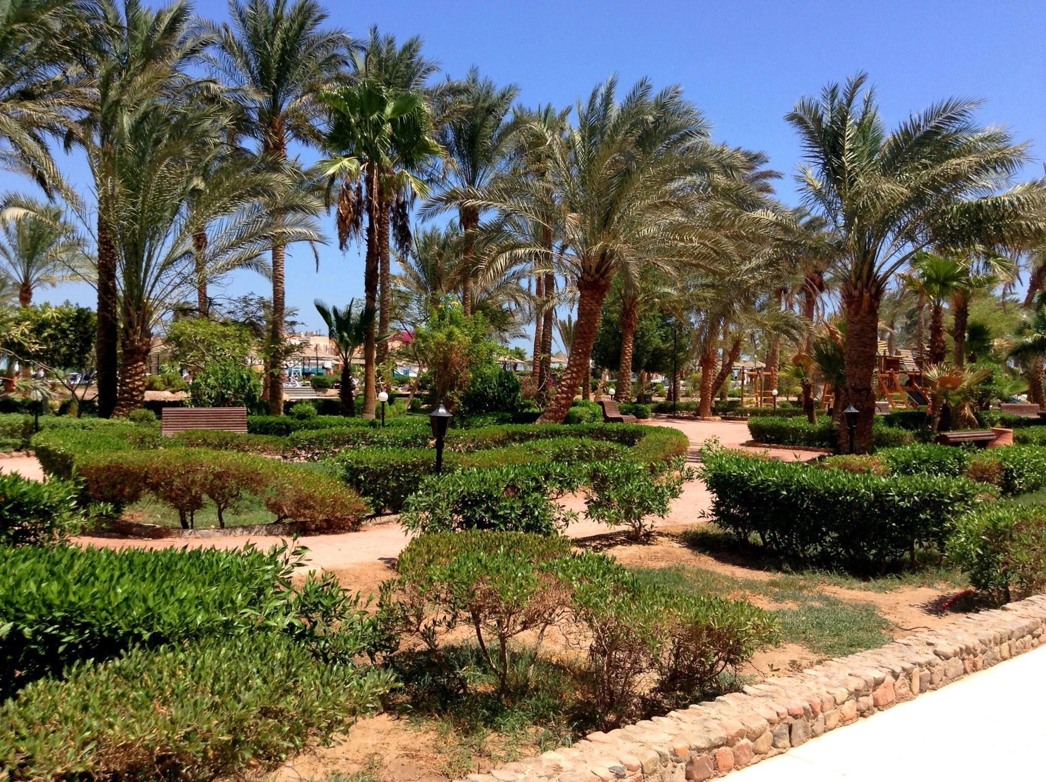 Giftun Azur Resort — 5