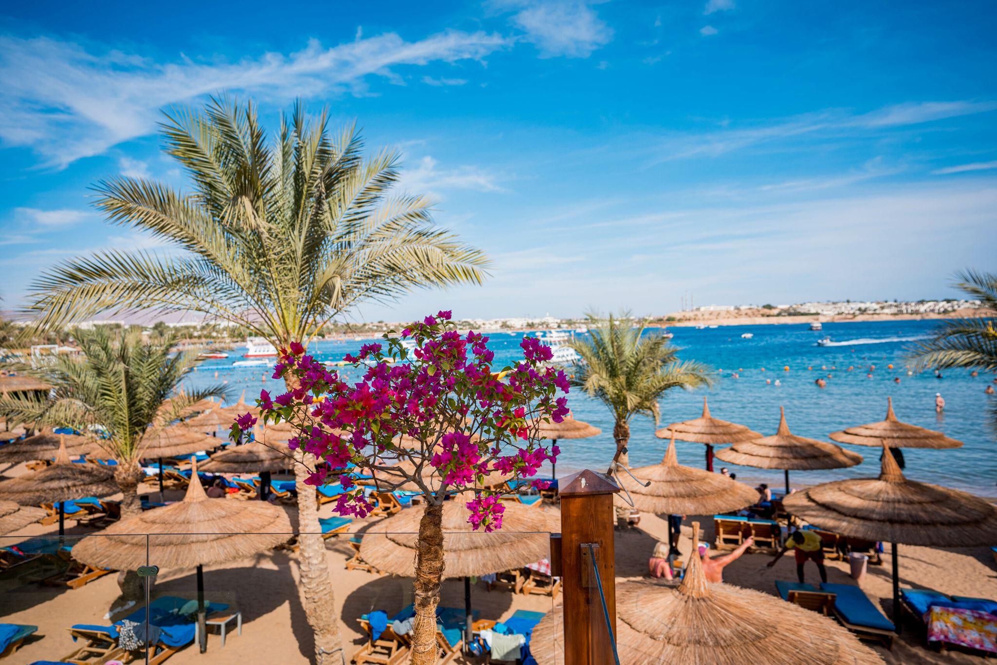 Marina Royal Sharm — 5