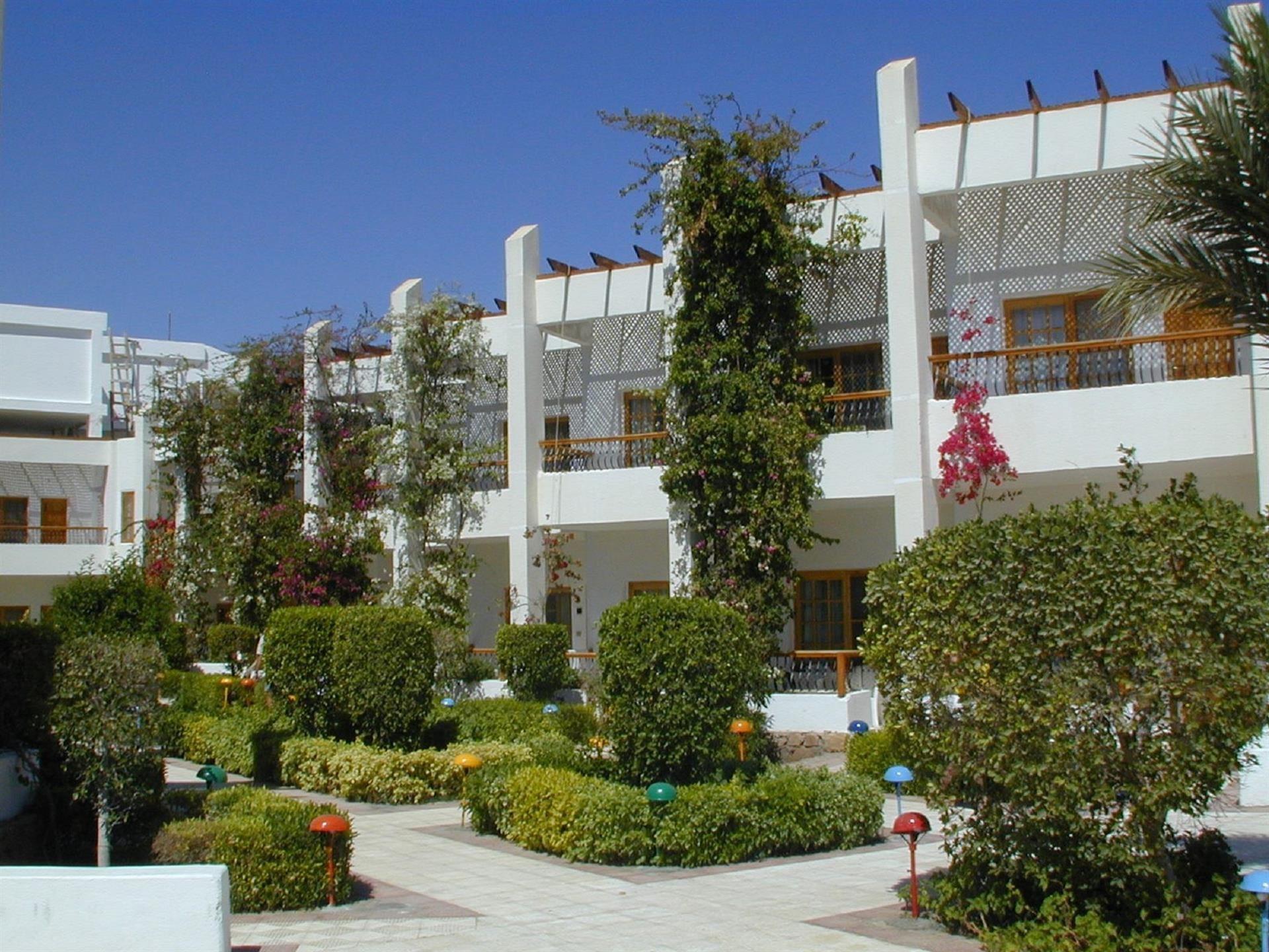 Menaville Resort Safaga — 4