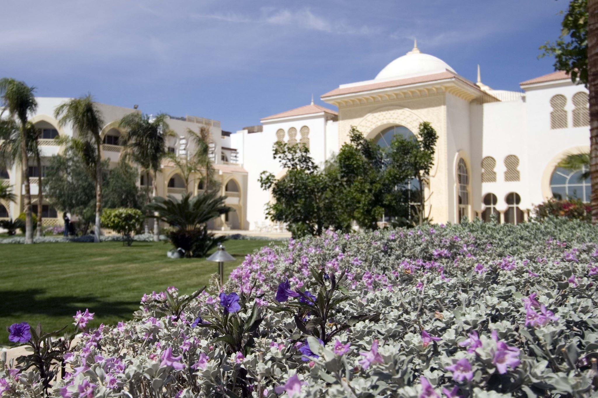 Old Palace Resort Sahl Hasheesh — 6