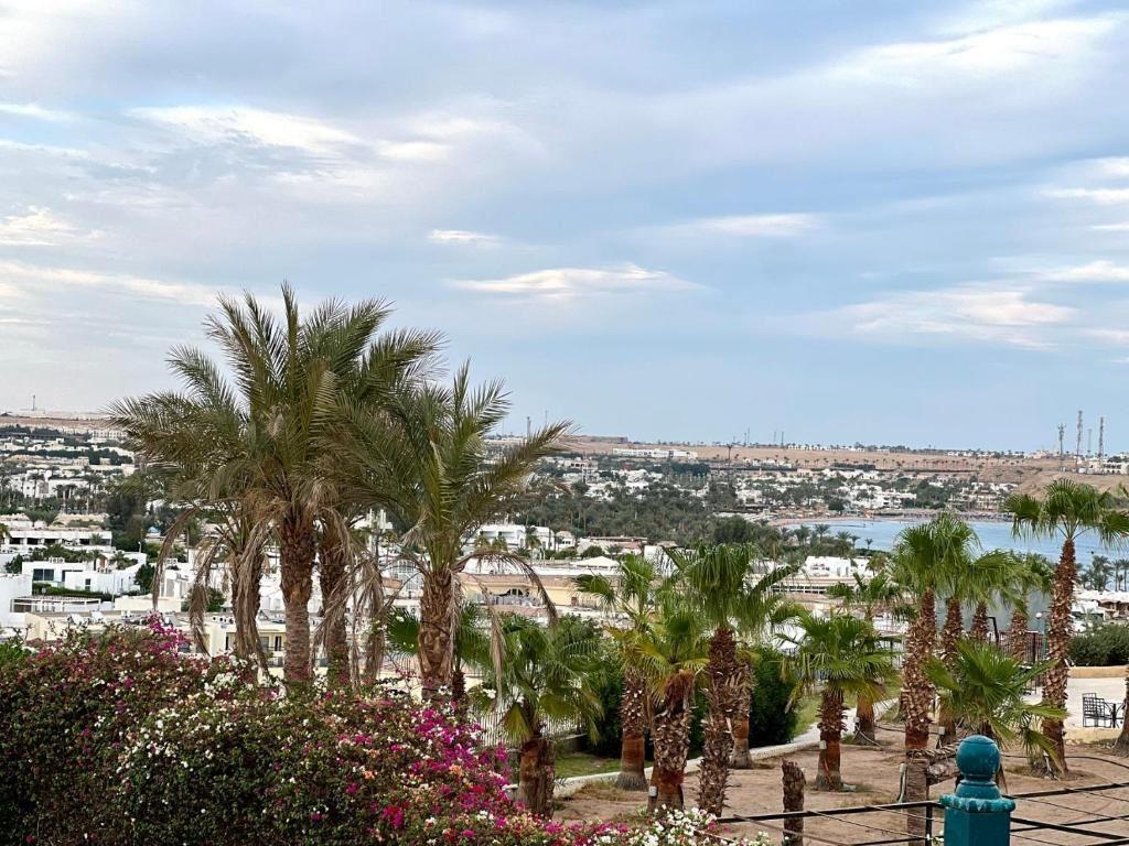 Sharm Cliff Resort — 4
