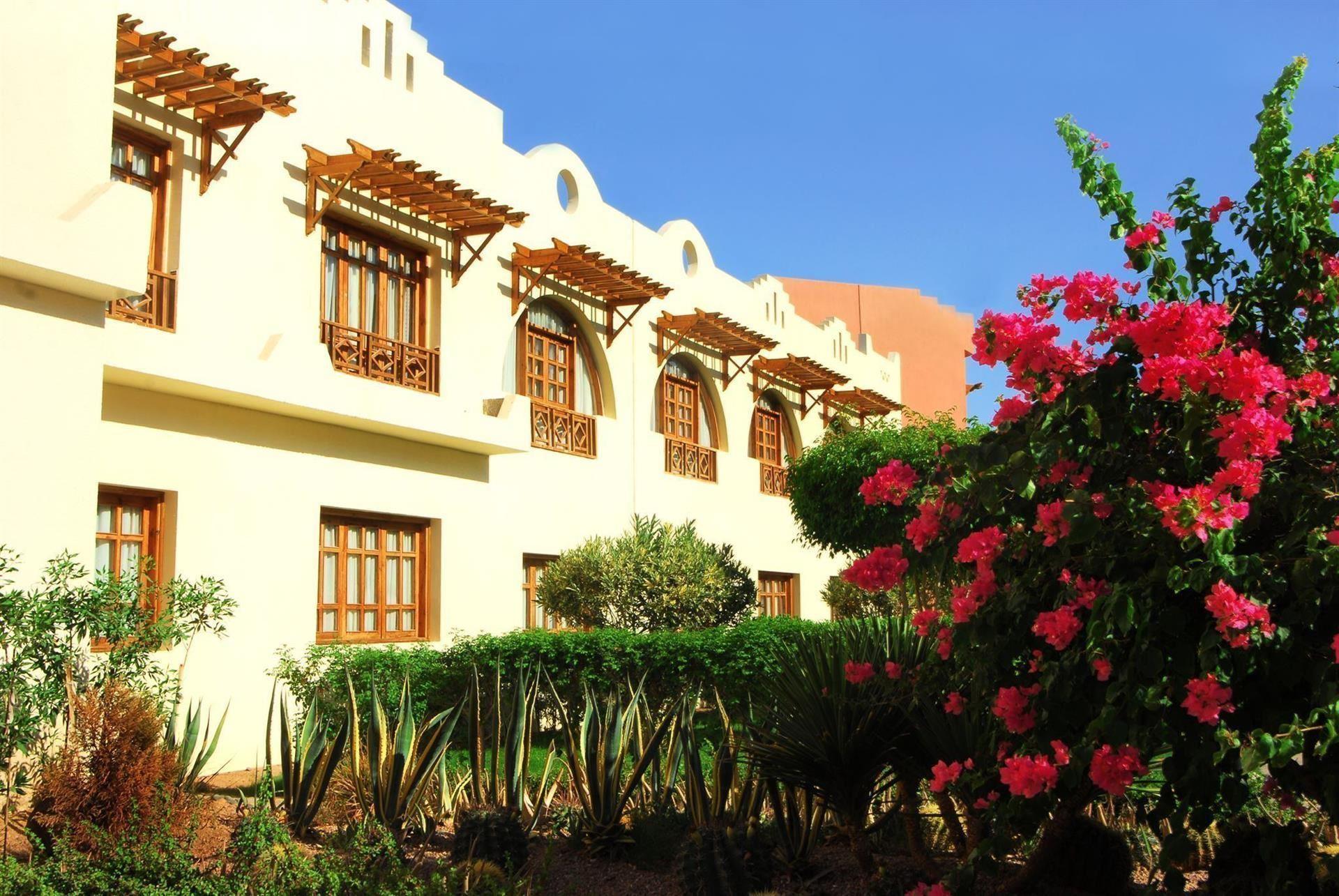 Tropitel Dahab Oasis — 9